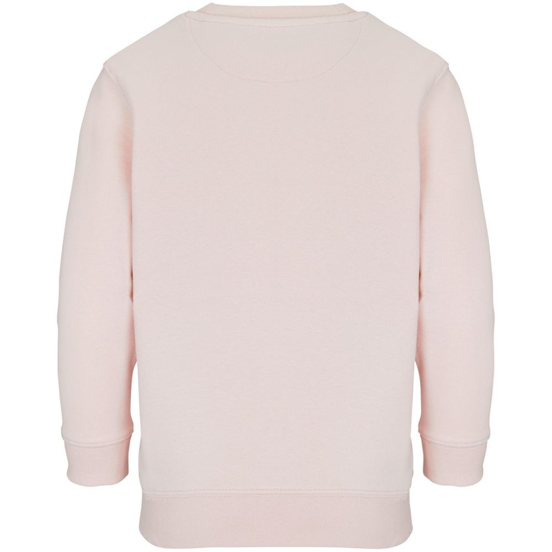 Свитшот детский Columbia Kids, розовый