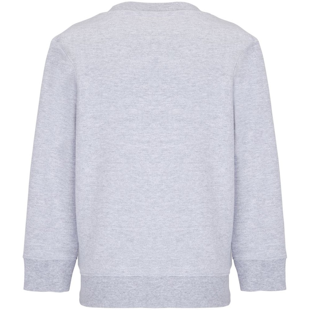 Свитшот детский Columbia Kids, серый меланж
