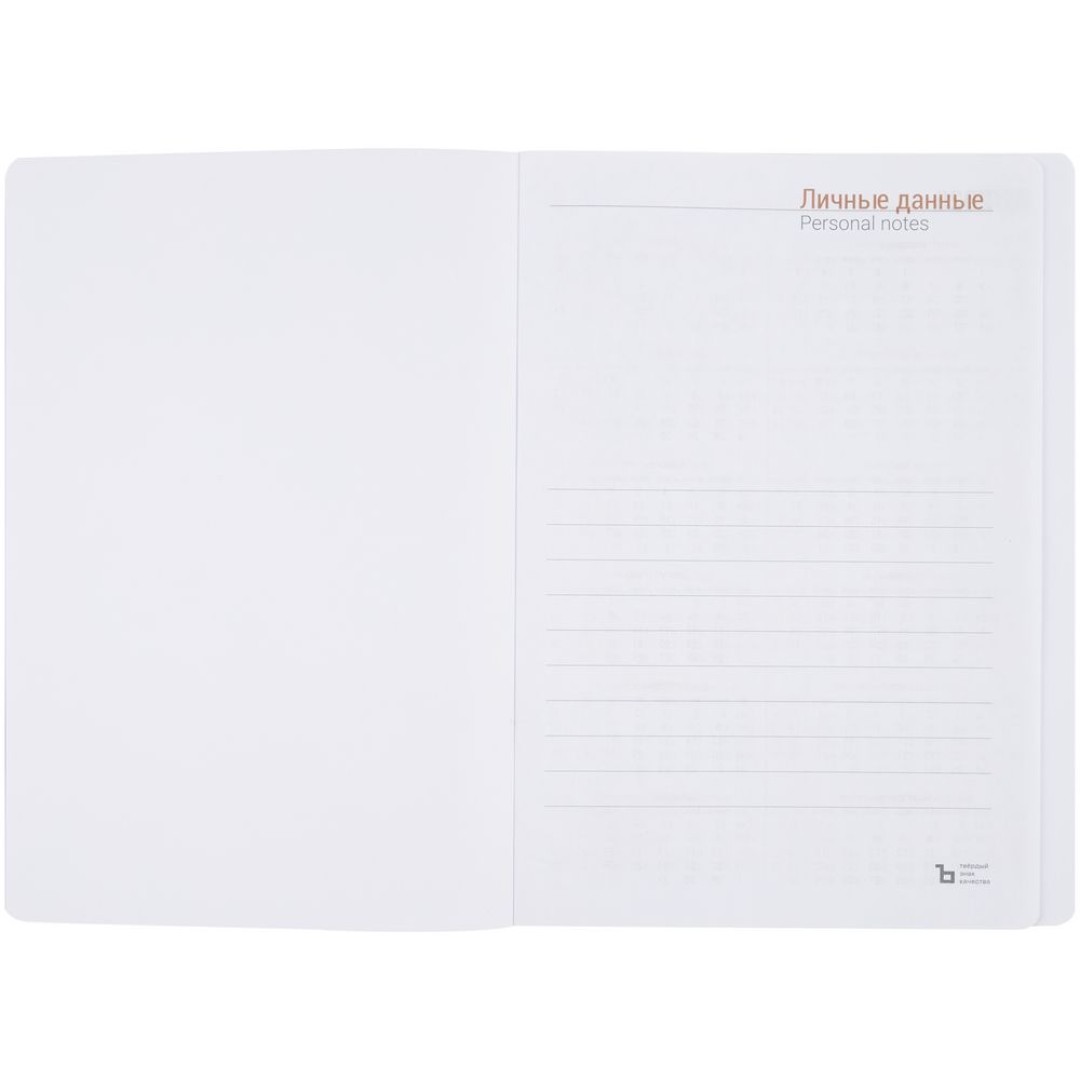 Ежедневник Basis, датированный, красный