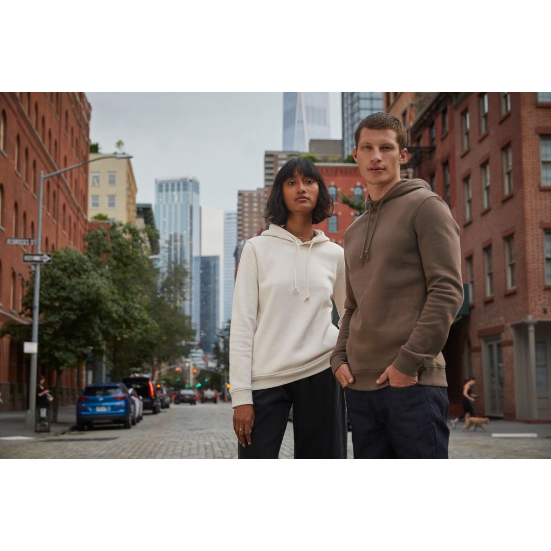 Толстовка с капюшоном женская BNC Inspire (Organic), серый меланж, L