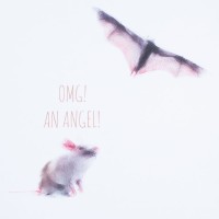 Футболка женская An Аngel, белая, S