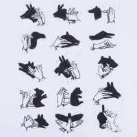 Футболка женская «Неочевидное», белая, M