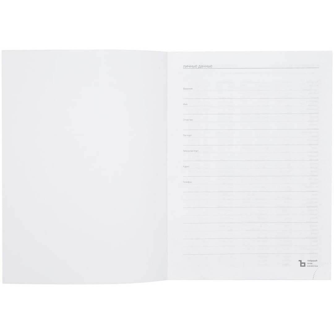 Ежедневник Latte Maxi, недатированный, синий