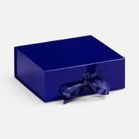 Коробка складная Rusetti, M, синяя