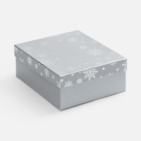 Коробка Wintry, серебристая