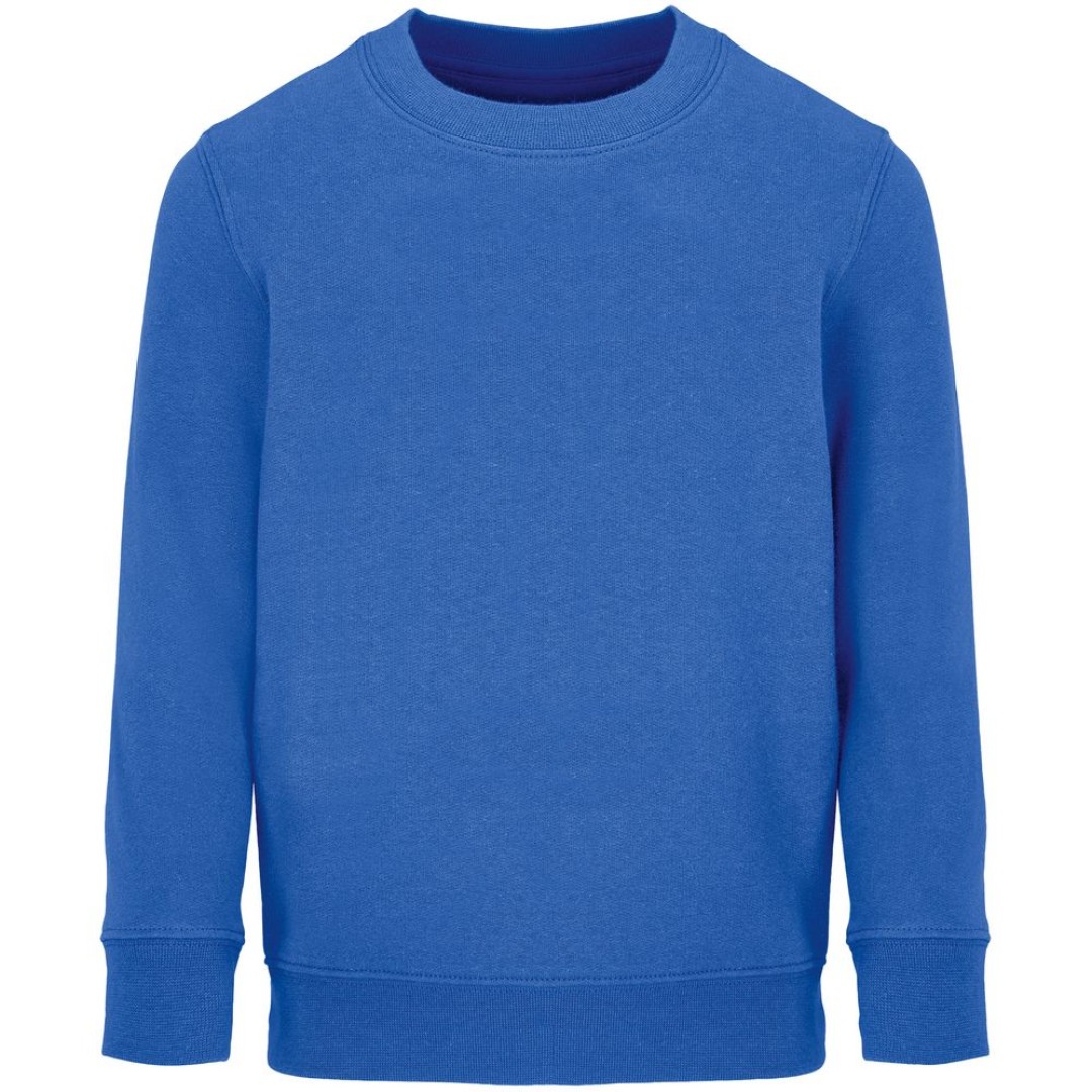 Свитшот детский Columbia Kids, ярко-синий (royal), на рост106-116