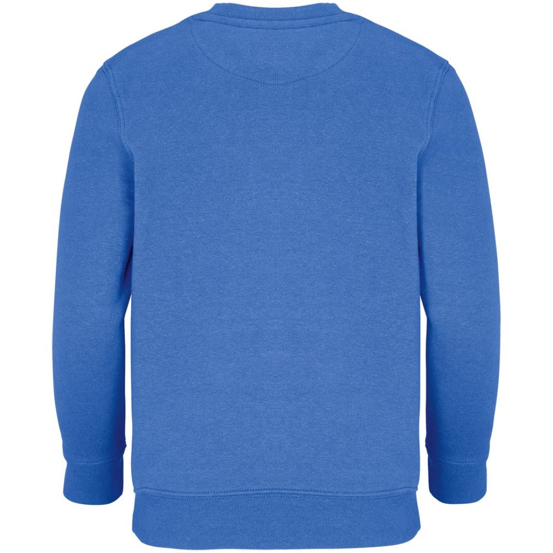 Свитшот детский Columbia Kids, ярко-синий (royal), на рост106-116