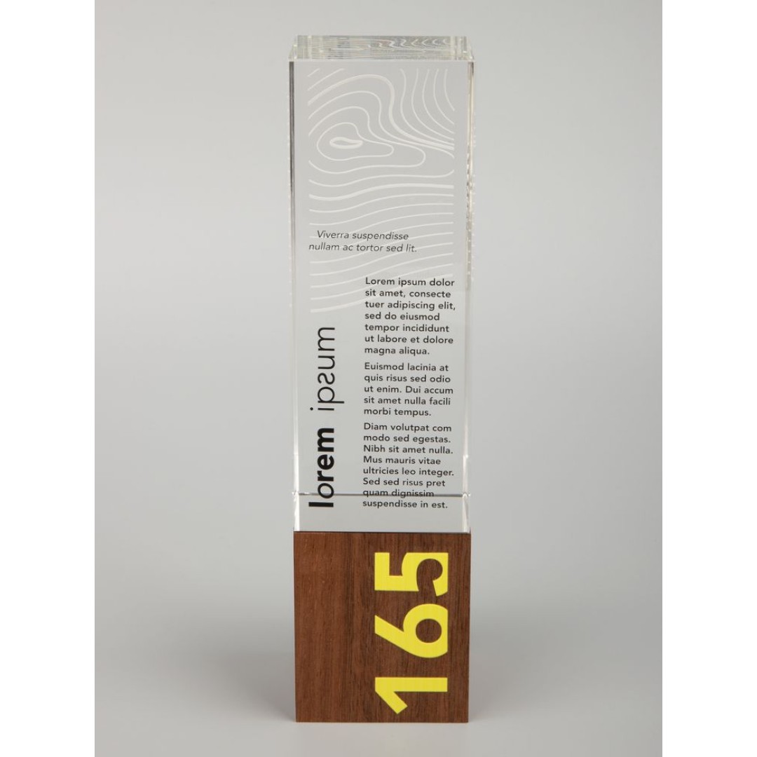 Стела Standpoint, ver.1