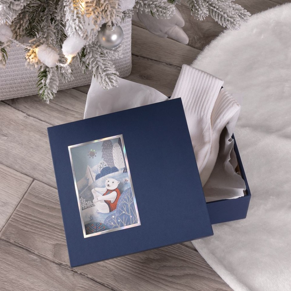 Коробка The Blue Bear, S