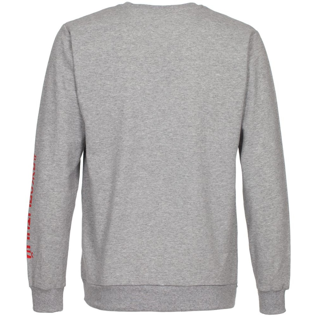 Толстовка «Яжопытный», серый меланж, S