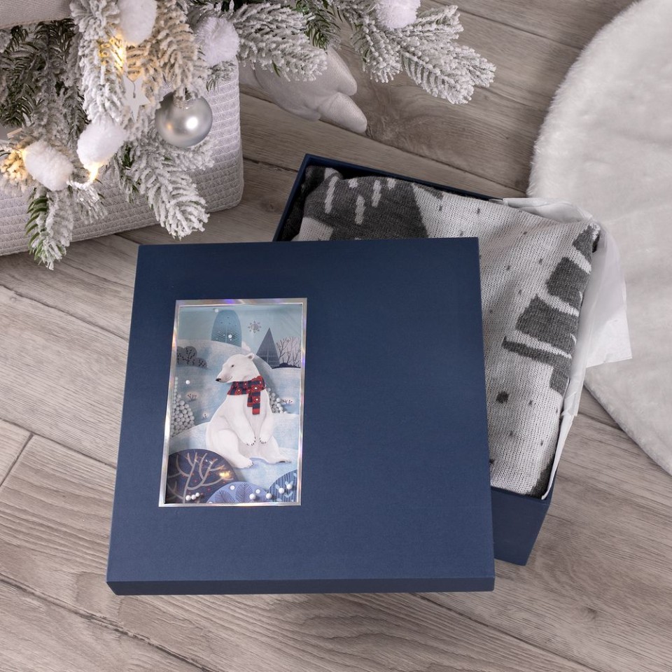 Коробка The Blue Bear, M