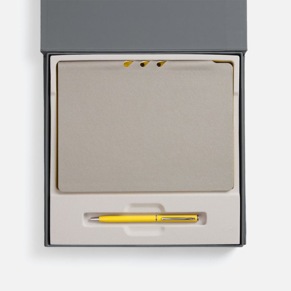 Набор Flexpen Grey, желтый