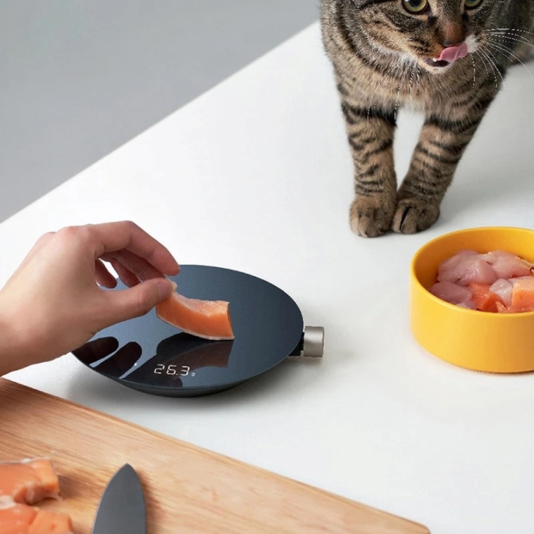 Умные кухонные весы Xiaomi Hoto Smart Kitchen Scale (QWCFC001)