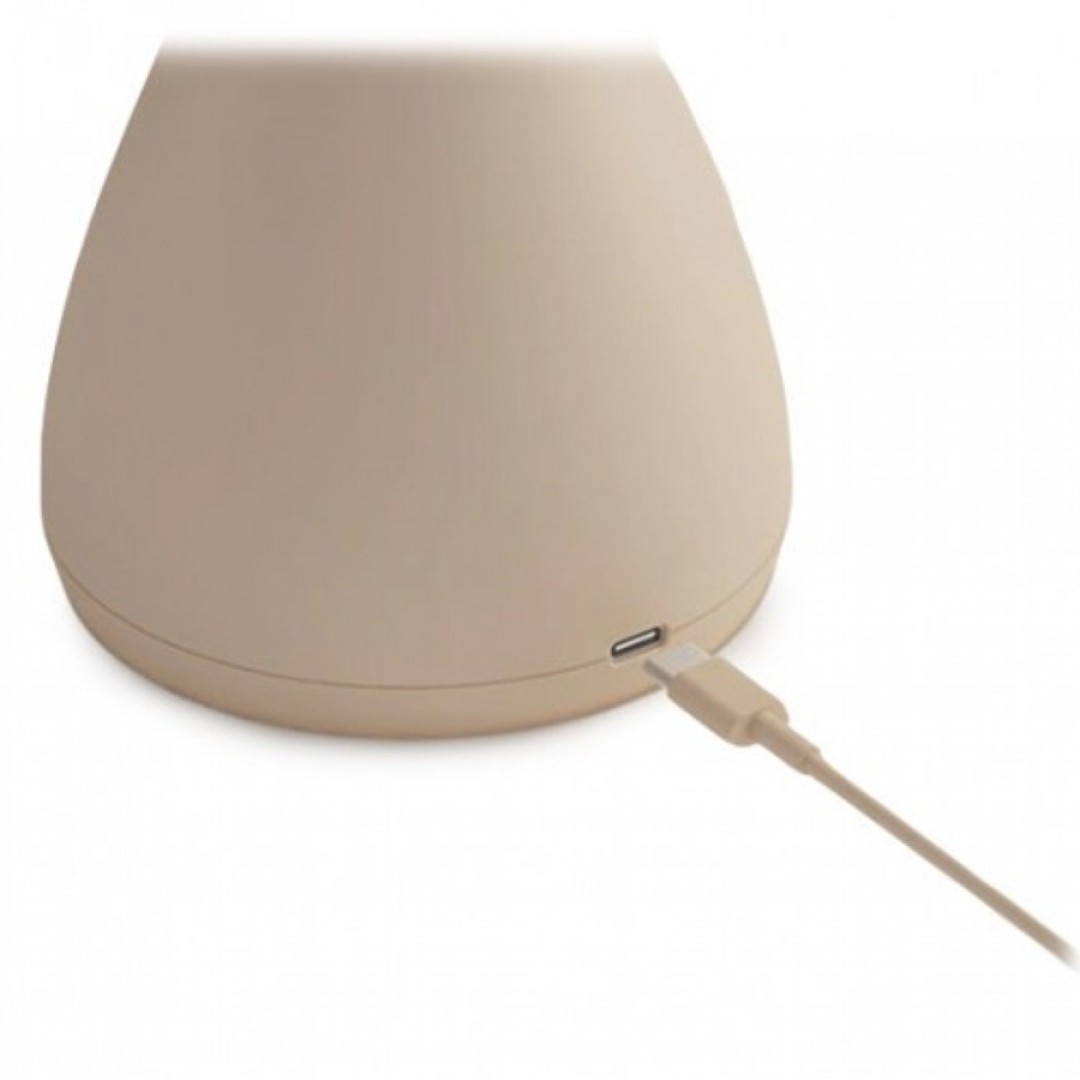 Настольный вентилятор Xiaomi Sothing Bridal Bouquet (DSHJ-S-2113)