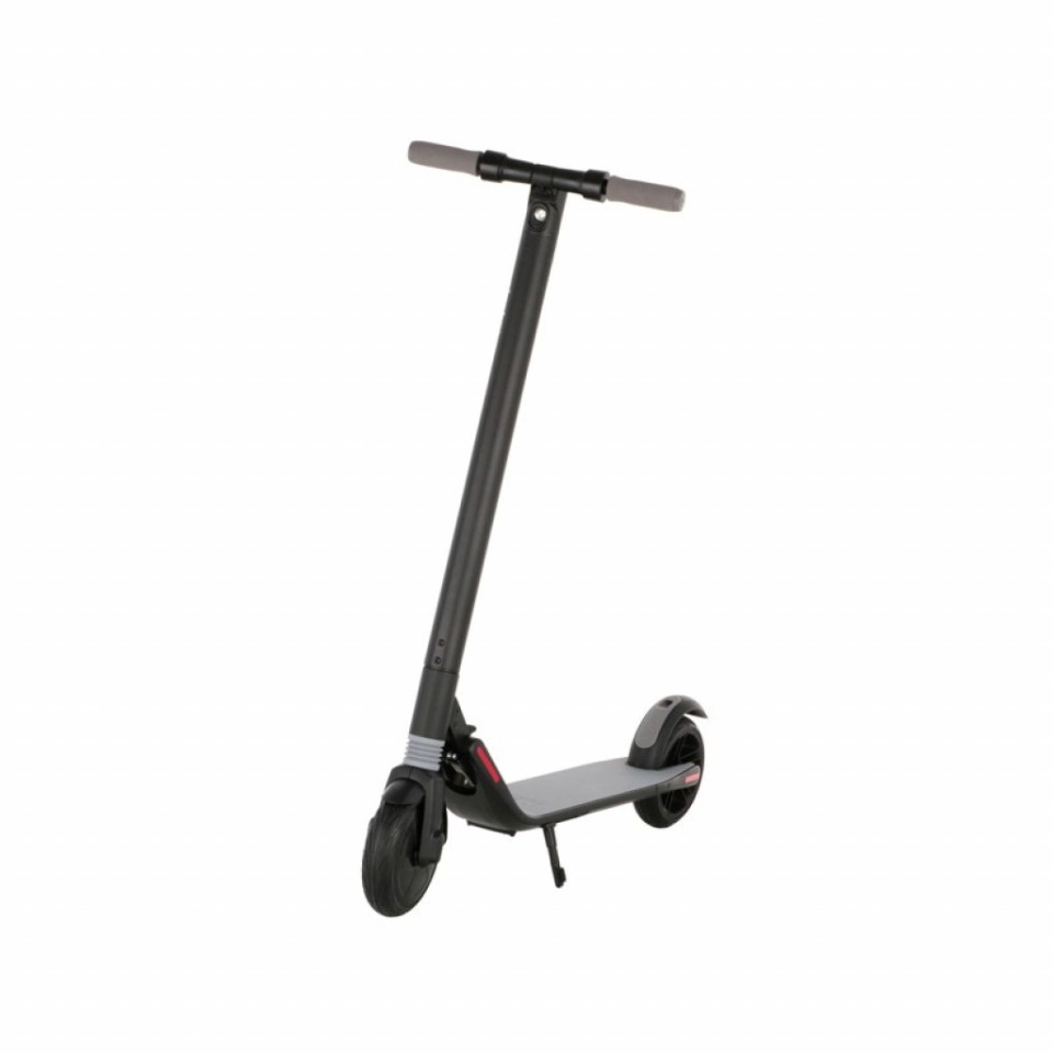 Электросамокат Xiaomi Ninebot by Segway KickScooter ES1