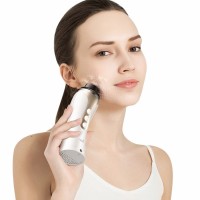 Массажер для лица Xiaomi Wellskins 360° (WX-SP010)