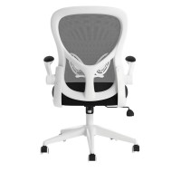Кресло компьютерное Xiaomi HBADA Ergonomic Double Waist Chair (HDNY163WM)