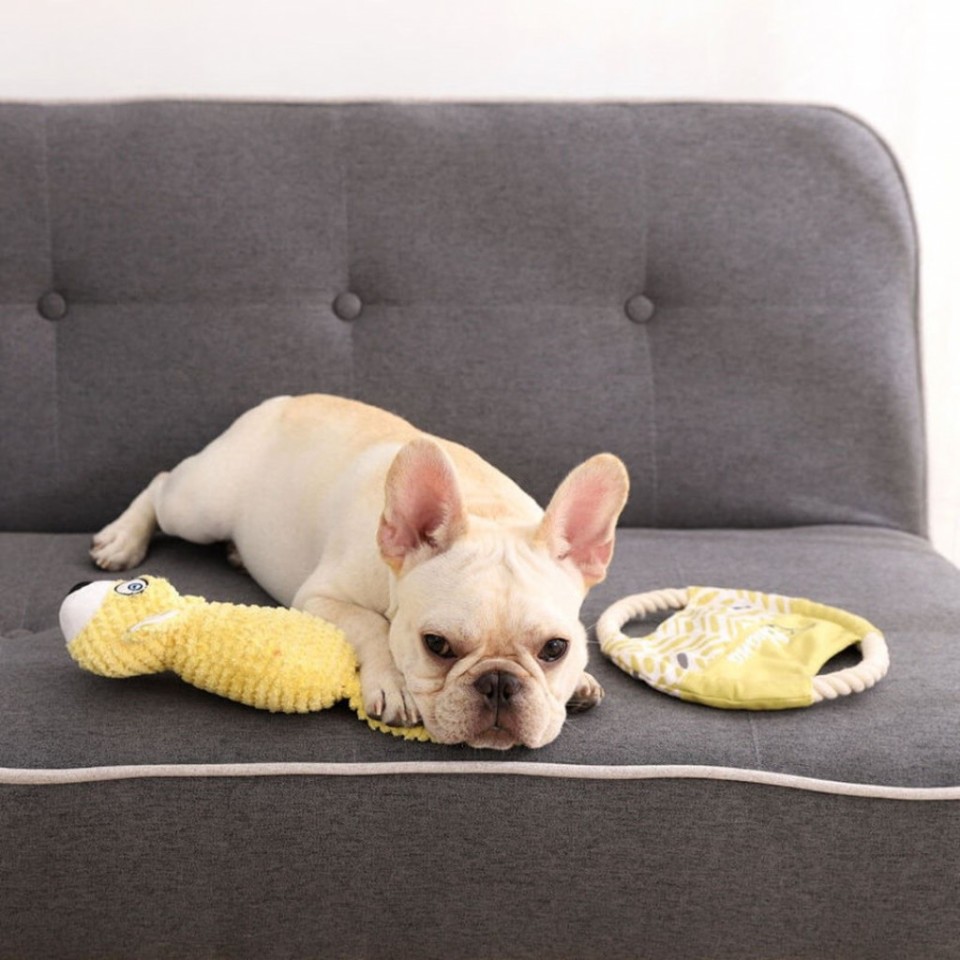 Игрушка для собак Xiaomi Little Beast Star Dog Fun Vocal Toy