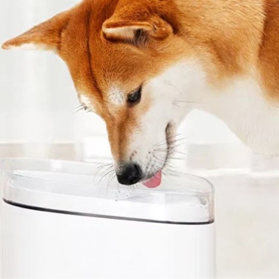 Дозатор воды для животных 2 л Xiaomi Kitten&Puppy Pet Water Dispenser (MG-WF001)