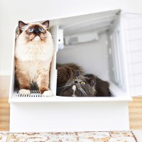 Лоток для кошек Xiaomi Petkit Villa Cat Litter Box (PК30)