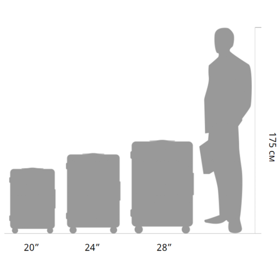 Чемодан Xiaomi Ninetygo Rhine Luggage 20" (120105)