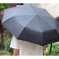 Зонт Xiaomi Konggu Automatic Umbrella Sky Valley