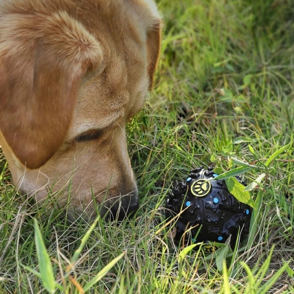 Мячик для собак Xiaomi Youpin Dog Leakage Food (XT28-5001)