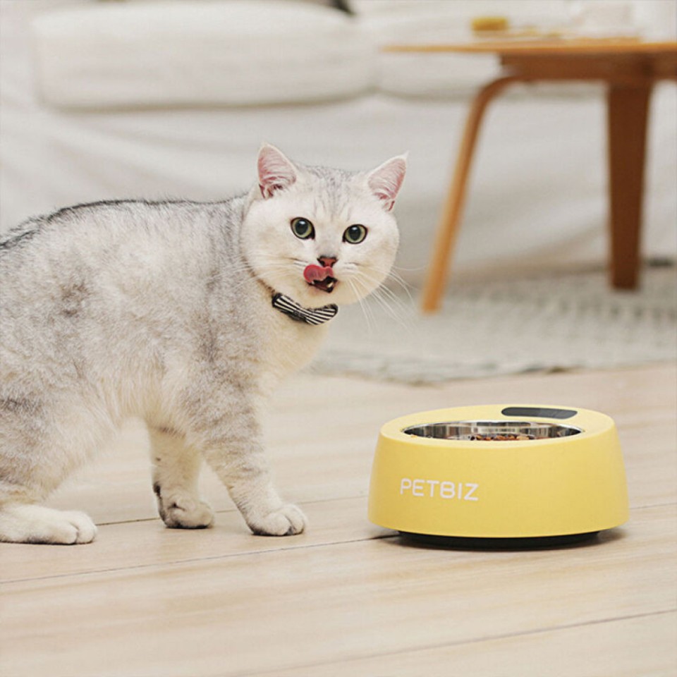 Миска-весы для животных Xiaomi Petbiz Smart Bowl Wi-Fi (B01-Pro)