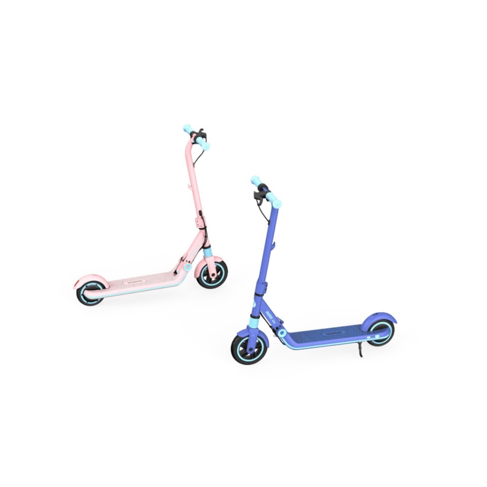 Электросамокат Xiaomi Ninebot KickScooter Zing E8