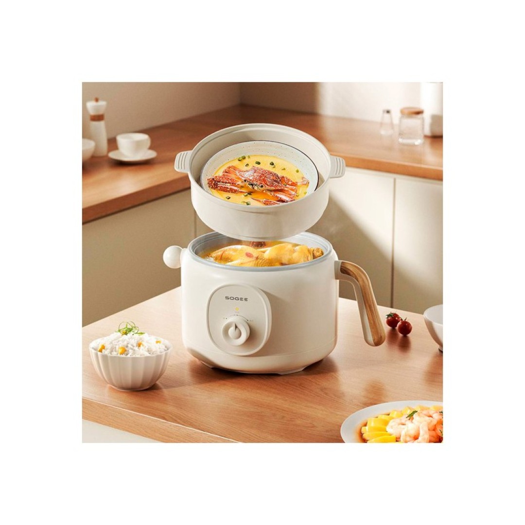 Кастрюляпароварка электрическая Xiaomi SOGEE (DZG02T)