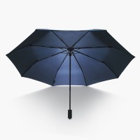 Зонт Xiaomi NINETYGO Oversized Portable Umbrella, стандартная версия (90COTNT1807U-GR)