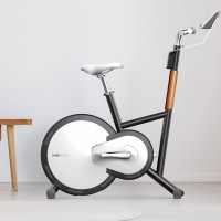 Умный велотренажер Xiaomi Mobi Fitness Smart Exercise Bike (MBH3201)