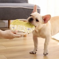 Игрушка для собак Xiaomi Little Beast Star Dog Fun Vocal Toy