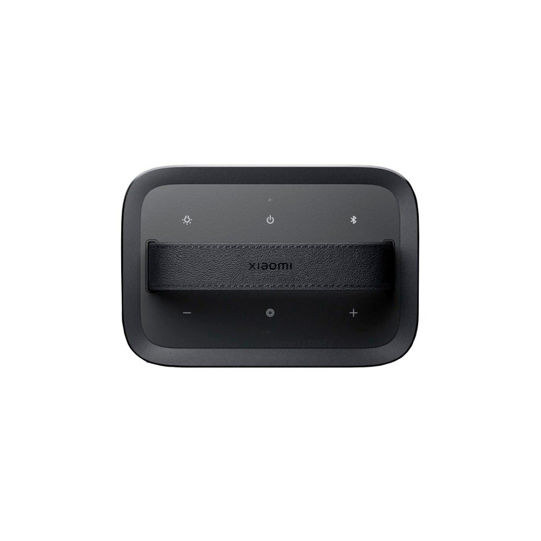 Беспроводная колонка Xiaomi Outdoor Bluetooth Speaker (ASM06A)