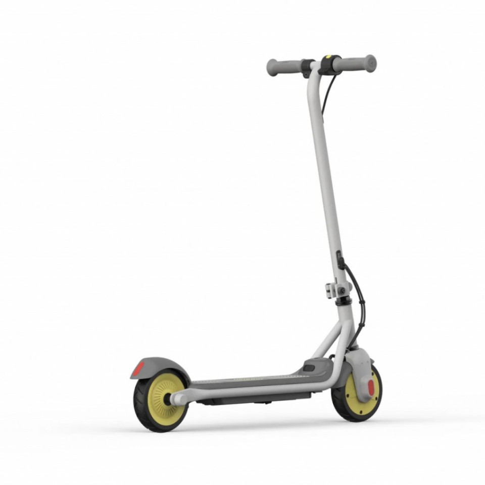 Электросамокат Xiaomi Ninebot KickScooter C10