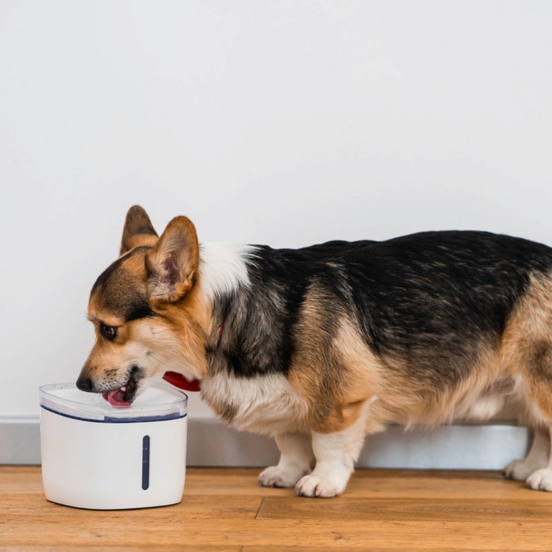 Поилка для животных Xiaomi Petoneer Smart Fresco Mini Plus Fountain (WF004)