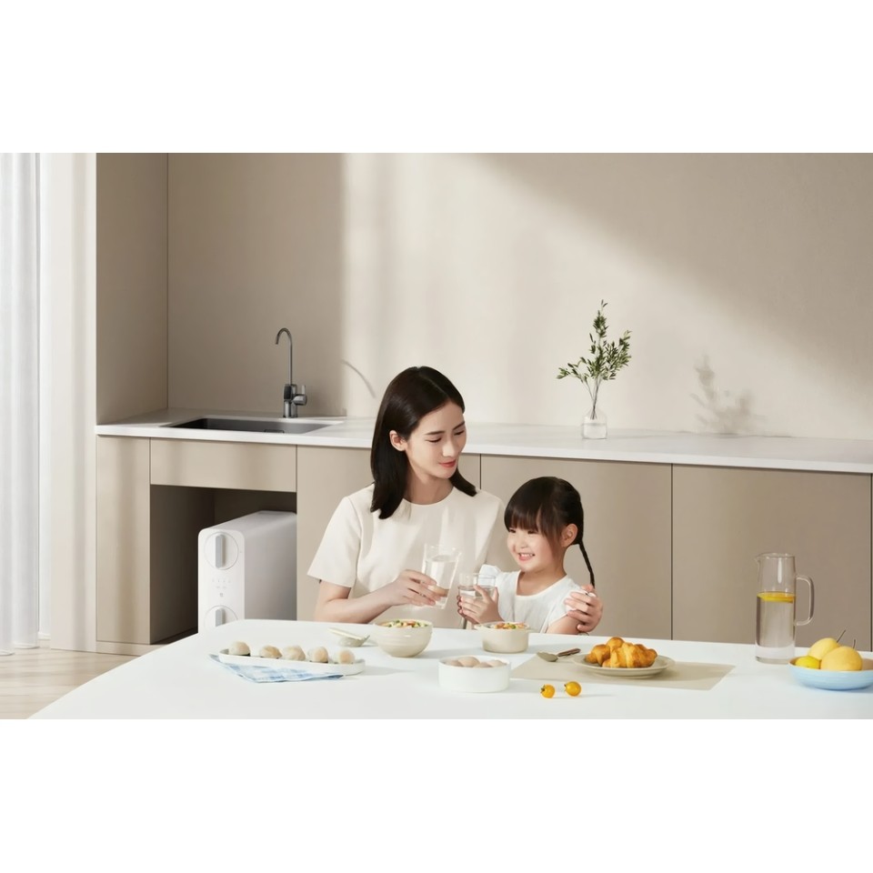 Проточный фильтр Xiaomi Mijia Water Purifier 800G (MR852-C)
