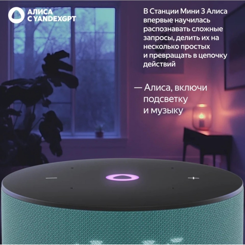 Умная колонка Яндекс Станция Мини 3 (YNDX-00027BLK)