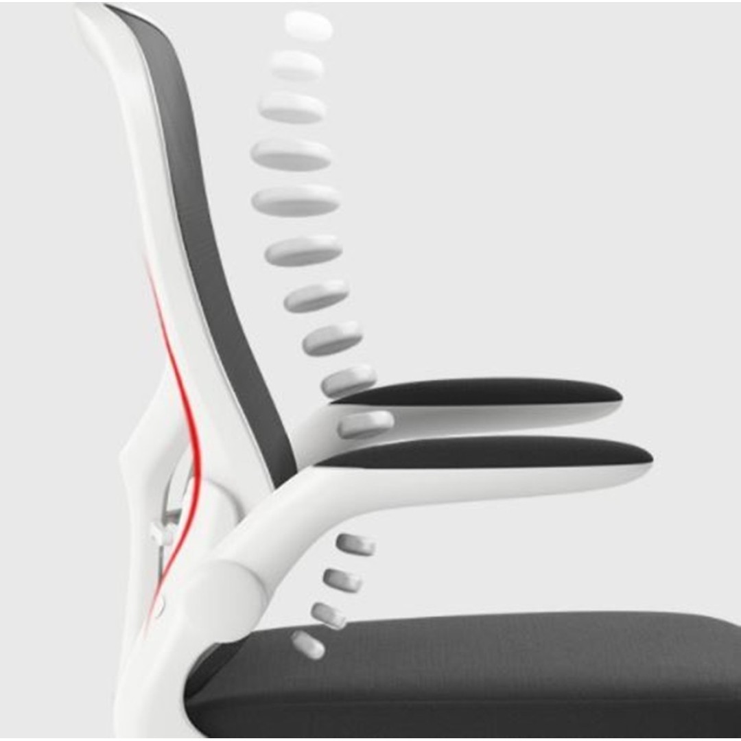 Кресло компьютерное Xiaomi HBADA Ergonomic Double Waist Chair (HDNY163WM)