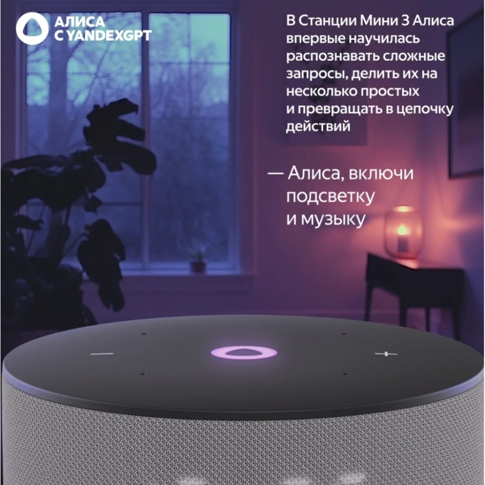 Умная колонка Яндекс Станция Мини 3 (YNDX-00027BLK)