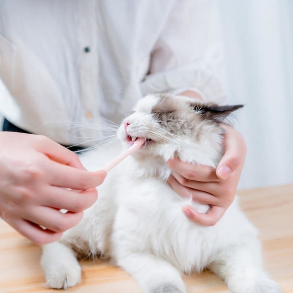 Зубная паста и щетка для кошек Xiaomi Сature Rollon Oral Care Kit