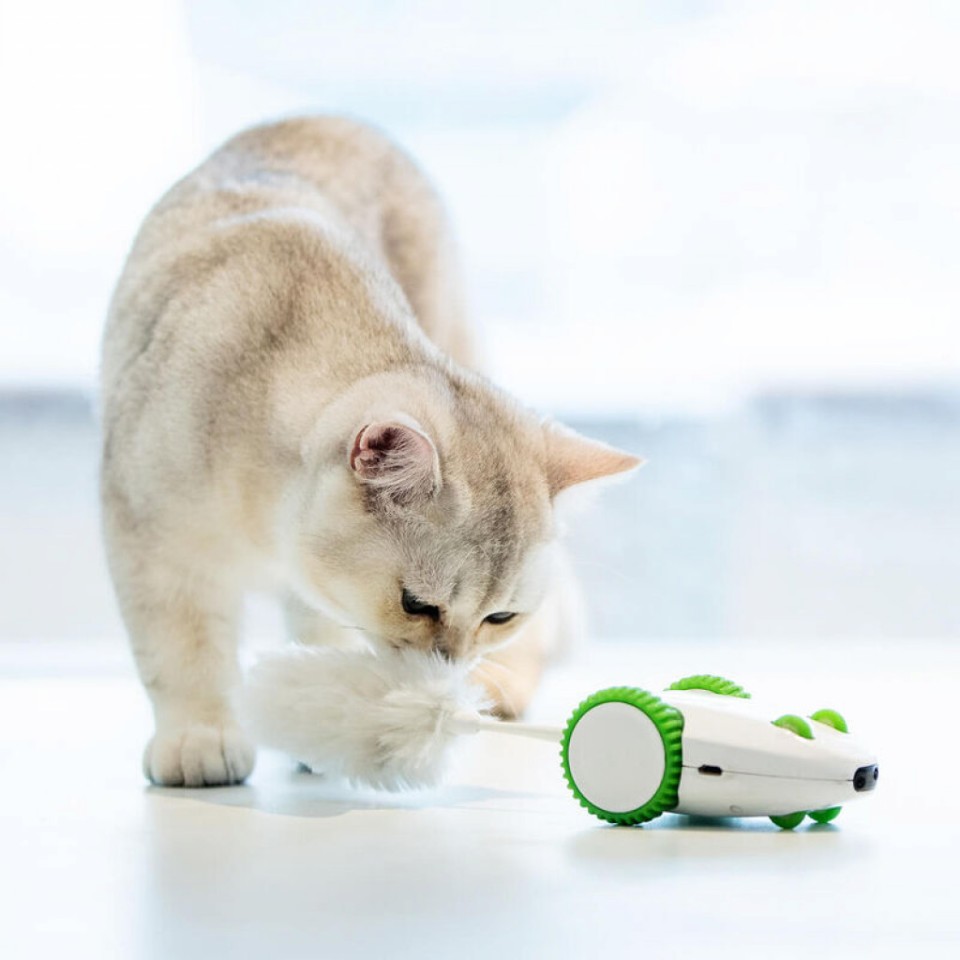 Игрушка для кошек Xiaomi Petgeek Crazy Mouse Toy