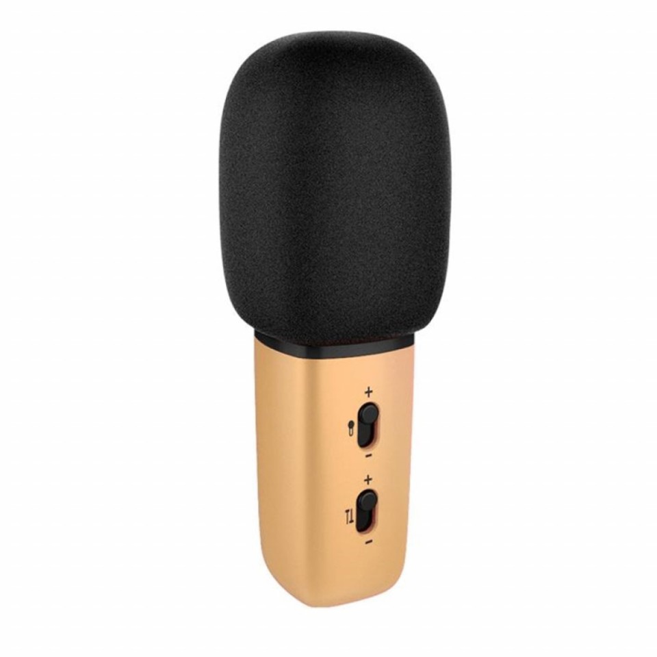 Микрофон Xiaomi Chang Ba Just Sing C1