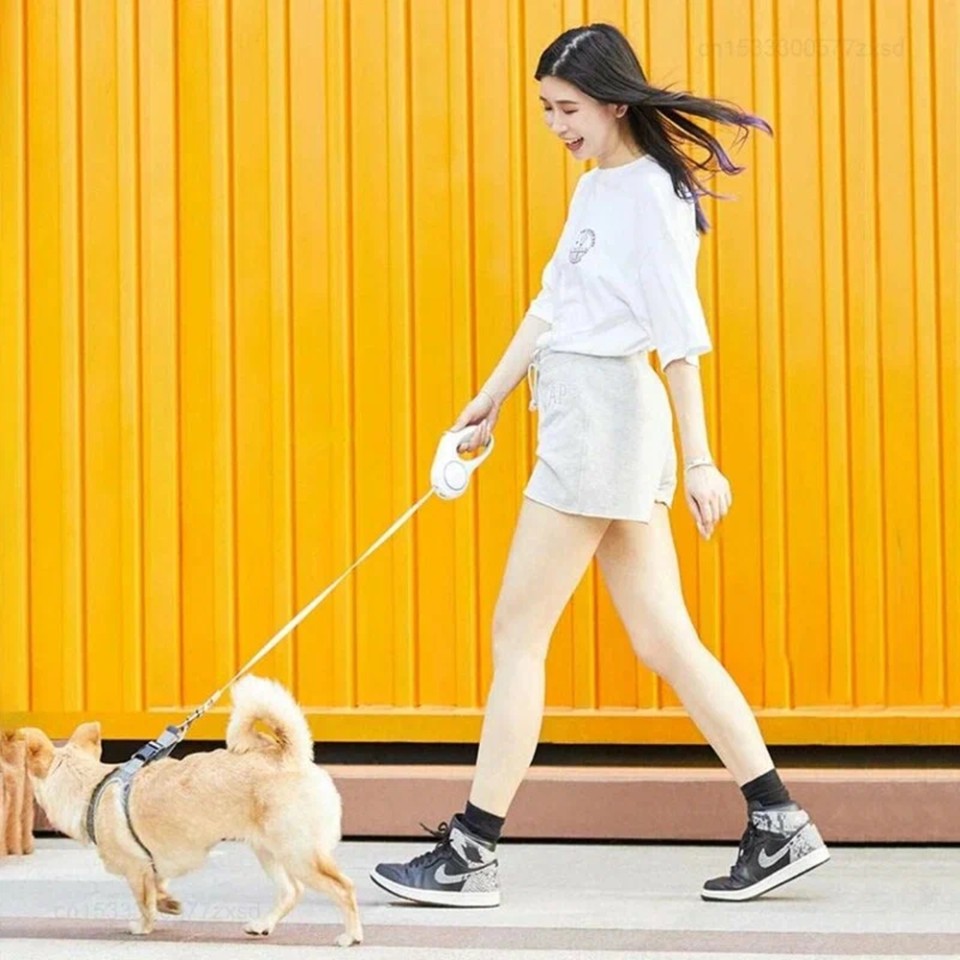Умный поводок Xiaomi Petkit Stream Light Telescopic Traction Rope 3м (P2101)