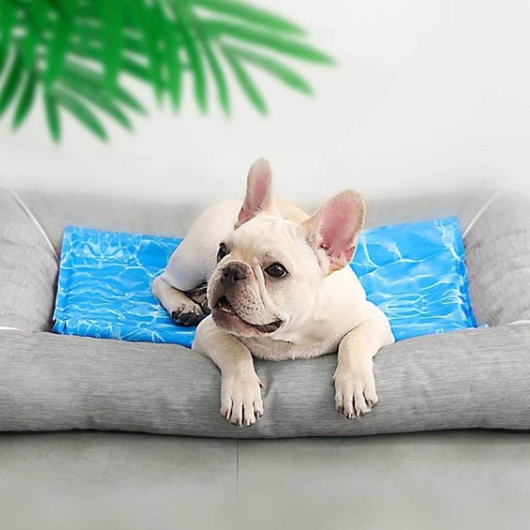 Коврик охлаждающий для животных Xiaomi Youpin Xiaoshouxing Pad