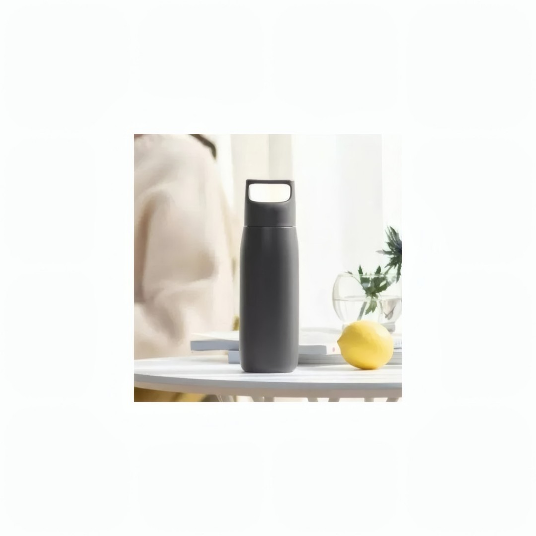 Термос Xiaomi Funjia Home Accompanying Mug 450 ml