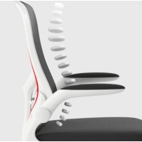Кресло компьютерное Xiaomi HBADA Ergonomic Double Waist Chair (HDNY163WM)