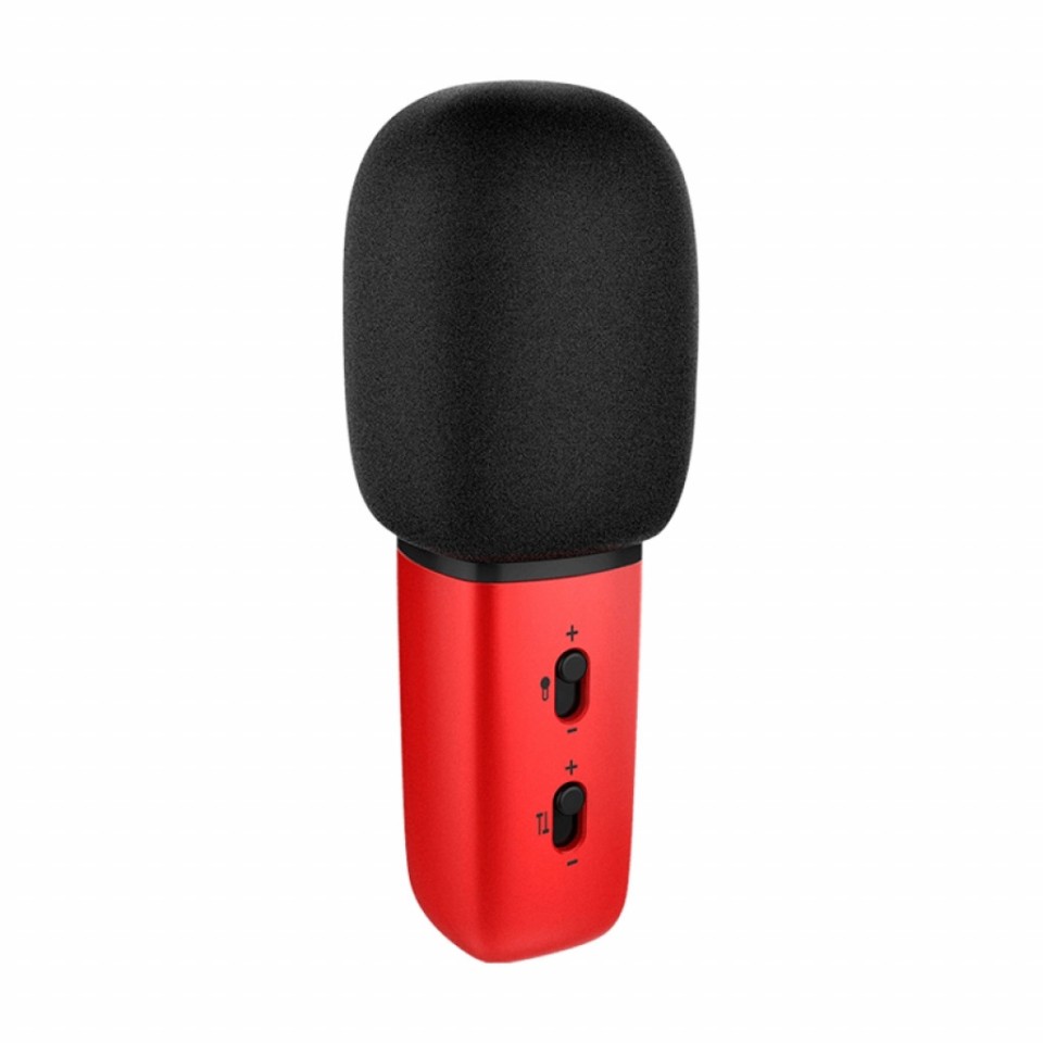Микрофон Xiaomi Chang Ba Just Sing C1