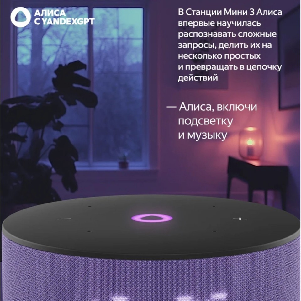 Умная колонка Яндекс Станция Мини 3 (YNDX-00027BLK)