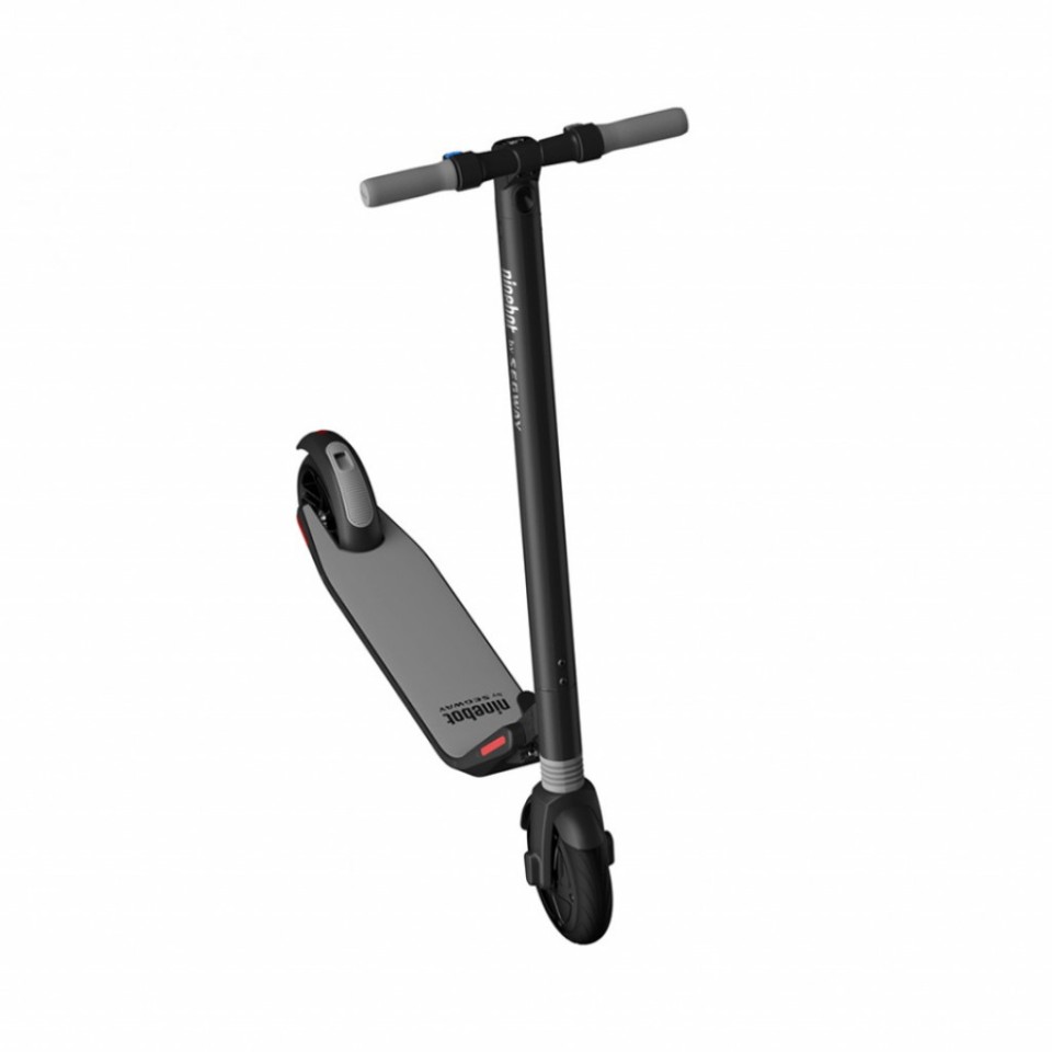 Электросамокат Xiaomi Ninebot by Segway KickScooter ES1